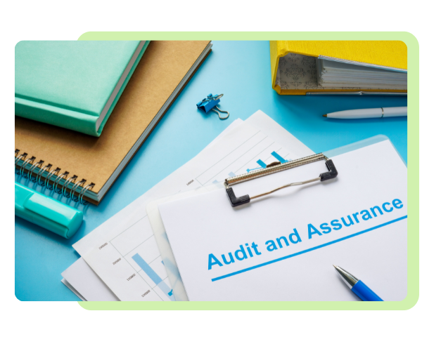 Audit & Assurance