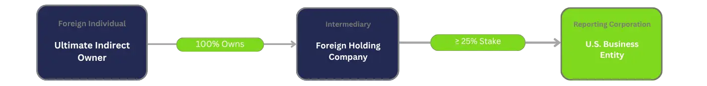 Diagram showing Form 5472 reporting structure foreign individual as ultimate indirect owner, 100% owns a foreign holding company intermediary, which holds 25% or more stake in a U.S. business entity as the reporting corporation